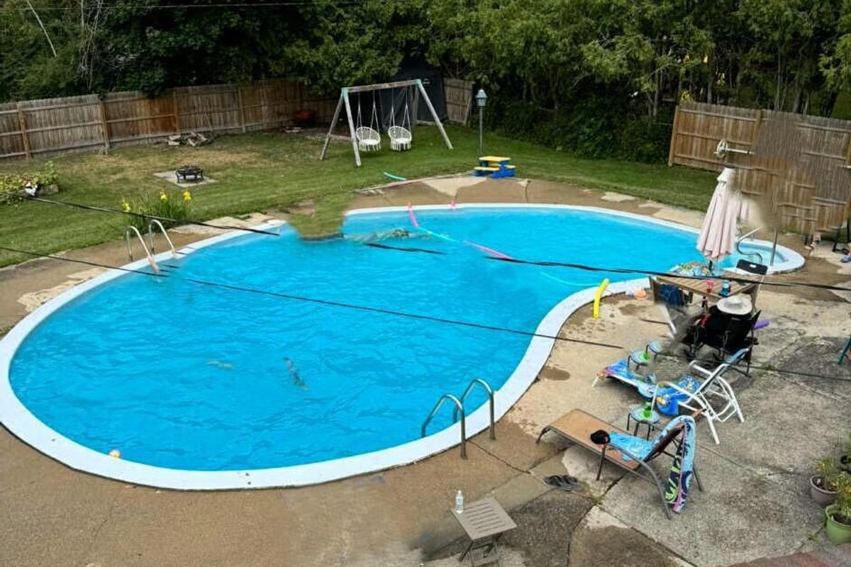 Before Pool & Backyard Cleanup